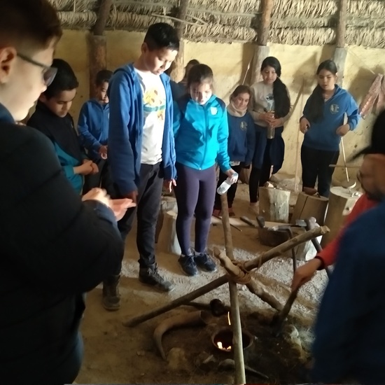 Arqueopinto 4º 19 24