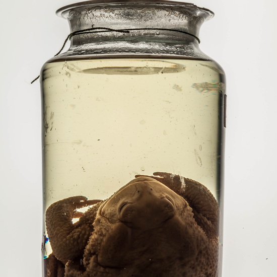 IES_CARDENALCISNEROS_CIENCIASNATURALES_247