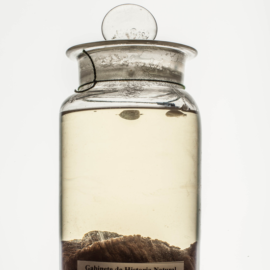 IES_CARDENALCISNEROS_CIENCIASNATURALES_014