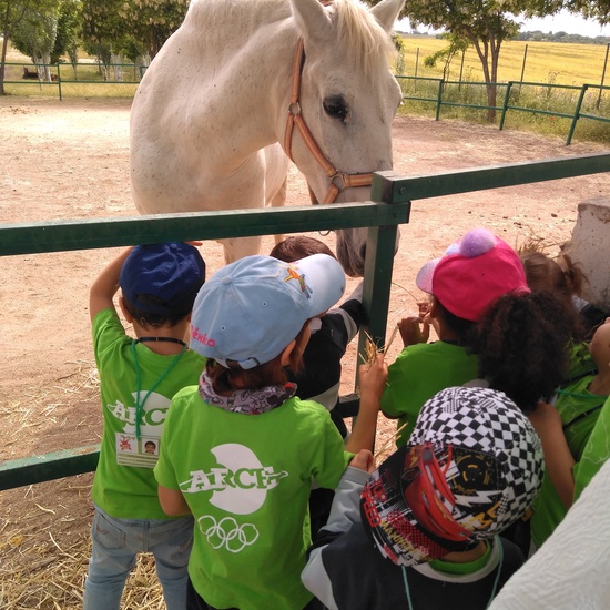 Infantil 3 años en la granja_CEIP Fernando de los Ríos_Las Rozas_2017-2018 16