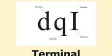 Terminal