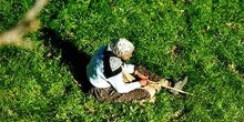 Pastora de ovejas sentada en la hierba, Marruecos