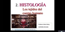 CLASE VIRTUAL E.HÄRING: TEJIDOS (1º PARTE) ANATOMÍA APLICADA