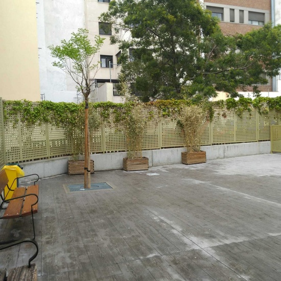 ¡Nuestro cole! CEIP Fernando El Católico Madrid 14