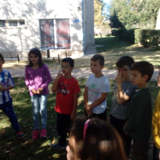 GRANJA SEPTIMA PARTE 34