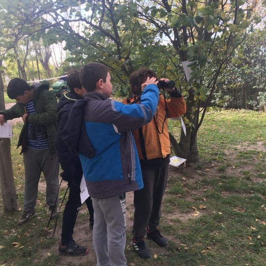 Albergue 6º - 4º día (mañana) 7