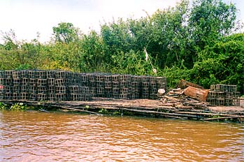 Nasas de pesca fluvial en Tonlé Sap, Camboya