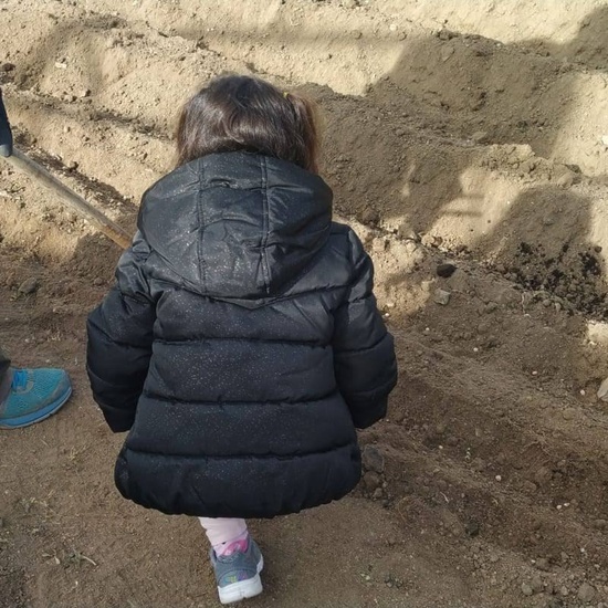 1º de Primaria_Plantamos garbanzo  15