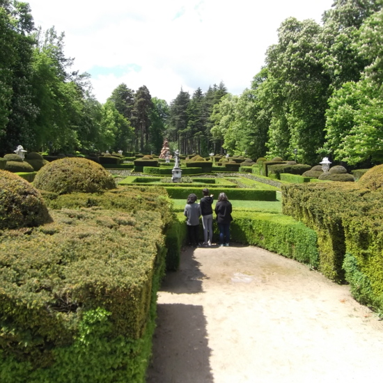 Prueba IES Mirasierra