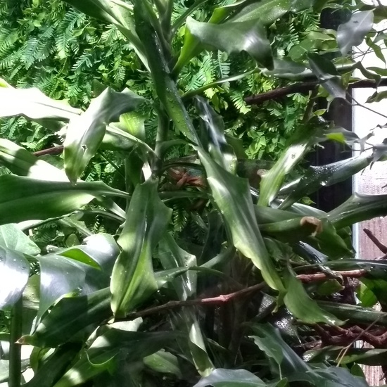 Granja de los Cuentos Infantiles I 20