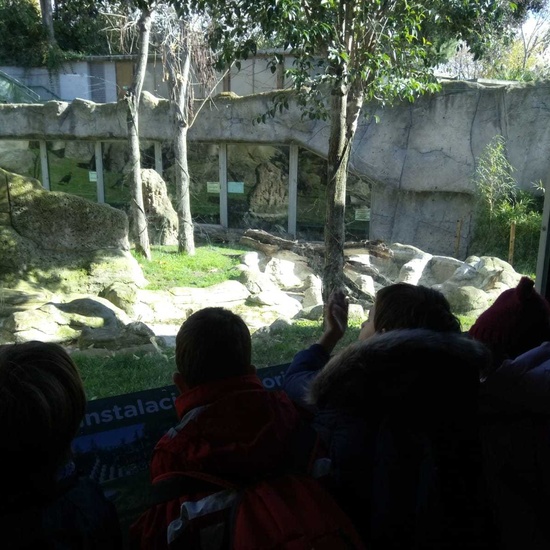 ZOO DE LA CASA DE CAMPO 5