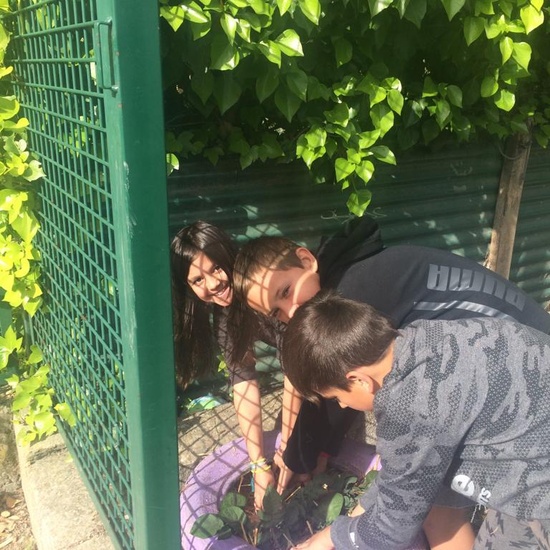 2019_05_Los alumnos de 4º en el Huerto_CEIP FDLR_Las Rozas 38