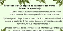 Instrucciones tarea 5 de Canva