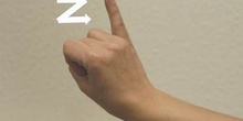 Lenguaje de signos, Z