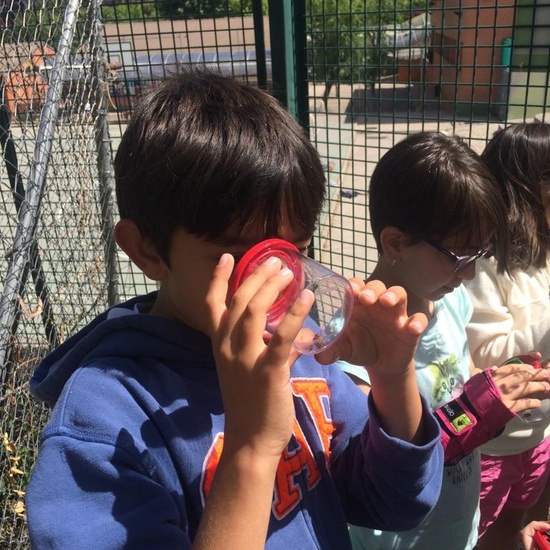 2019_06_11_4º observa insectos en el huerto_1_CEIP FDLR_Las Rozas 8