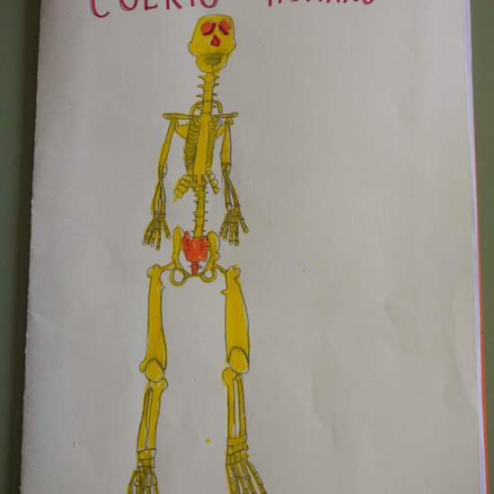 [Lapbook] - Mi atlas del cuerpo humano (3º de primaria) - IMAGEN 1