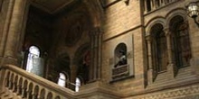 Interior del Natural History Museum, Londres