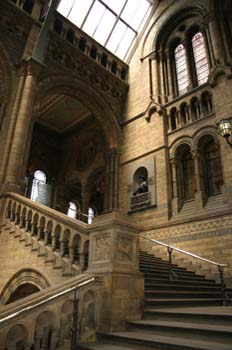 Interior del Natural History Museum, Londres