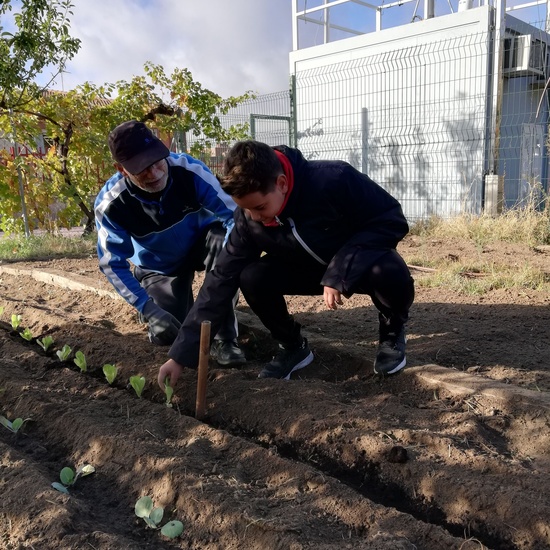 Huerto escolar 2019/20 19