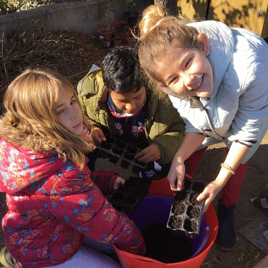 2019_02_08_Cuarto B visita el huerto_CEIP FDLR_Las Rozas 5
