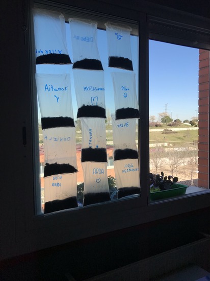 Explorando Germinación