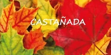 CASTAÑADA