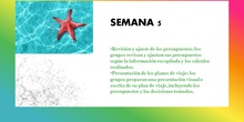 Semana 5