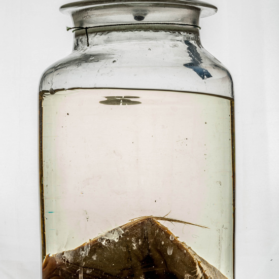 IES_CARDENALCISNEROS_CIENCIASNATURALES_379