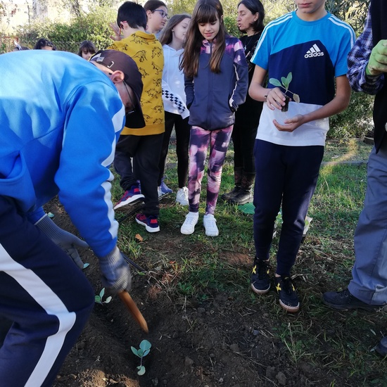 Huerto escolar 2019/20 5