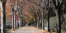 Avenida Complutense, Ciudad Universitaria, Madrid