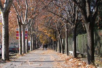 Avenida Complutense, Ciudad Universitaria, Madrid