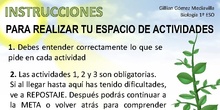Instrucciones Tarea 5