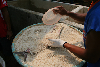 Secado en el suelo, Jakarta