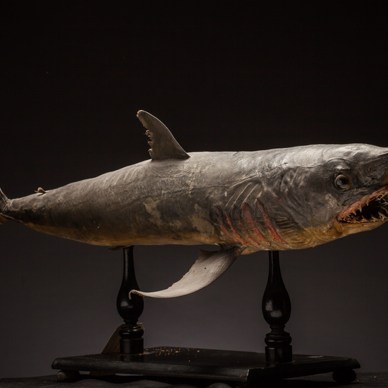 IES_SANISIDRO_BIOLOGIA_378