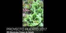 Huerto Escolar IES Menéndez Pelayo