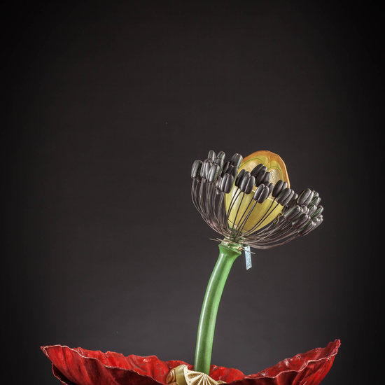 IES_CARDENALCISNEROS_BOTANICA_III_MODELOS_072