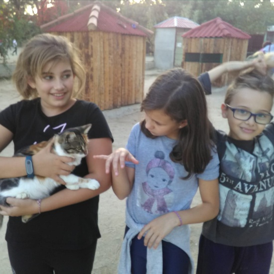 NOCHE MÁGICA 2019 (1ª parte) 29