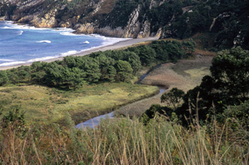 Marisma subhalófila del río Barayo, Navia-Valdés, Principado de