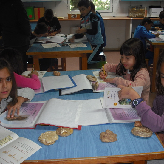 GRANJA PRIMERA PARTE 20