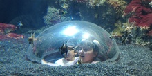 FOTOS AQUARIUM 2 9