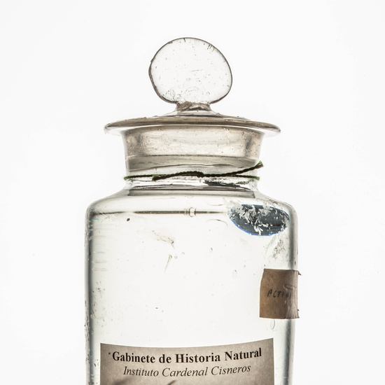 IES_CARDENALCISNEROS_CIENCIASNATURALES_036