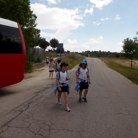 Camino de Santiago 9