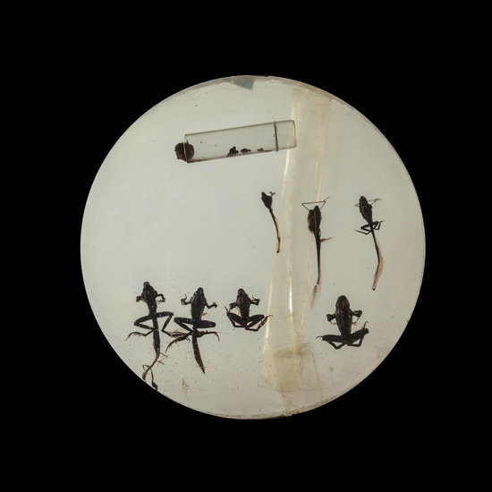 IES_CARDENALCISNEROS_CIENCIASNATURALES_319