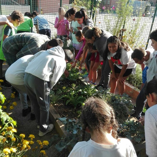 5º A en el huerto_CEIP FDLR_Las Rozas 3