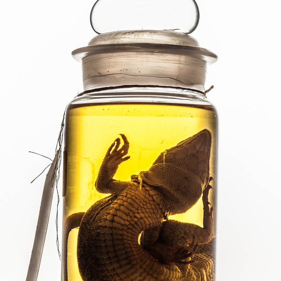 IES_SANISIDRO_MUSEO_BOTES_031