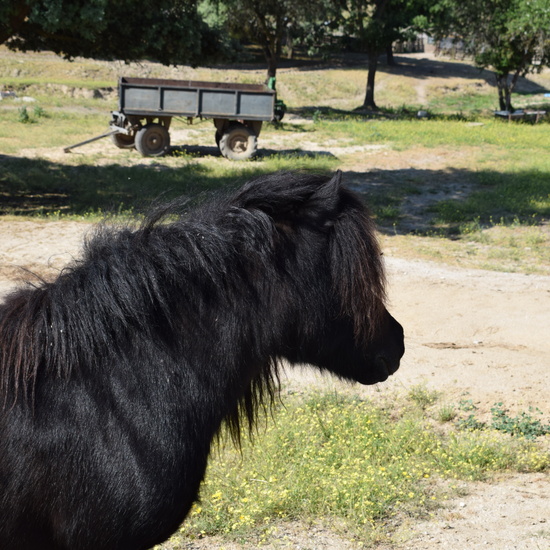 Salida en bici 4º de Primaria 5