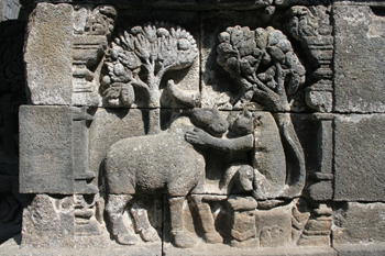 Detalle de relieves, Templo Borobudur, Jogyakarta, Indonesia