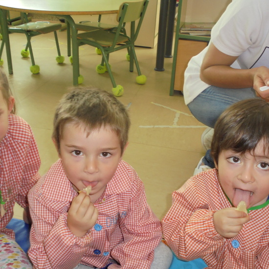 Sesión de los sentidos 16