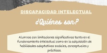 Discapacidad Intelectual, ¿Quiénes son?