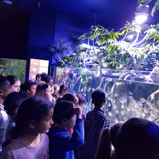 Fotos Aquarium Xanadú 3ºB 21